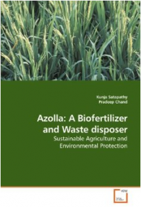 Azolla - a biofertilizer.....